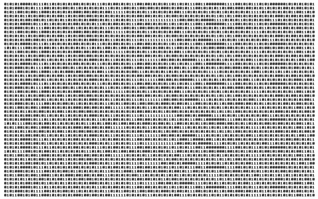 A Standard Computer Program In Binary